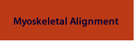 Myoskeletal
